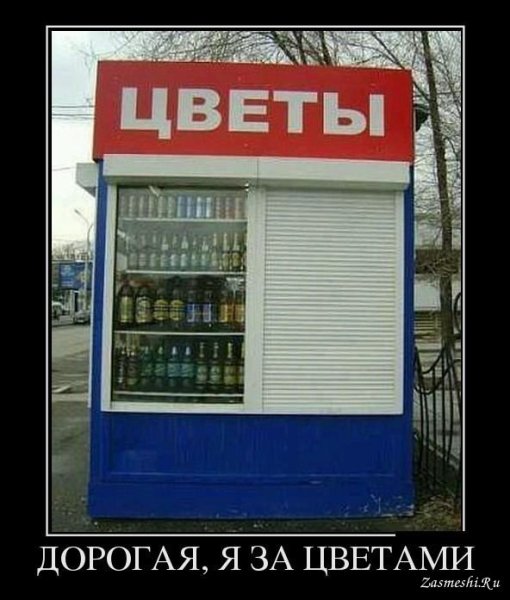 Приколы про цветы
