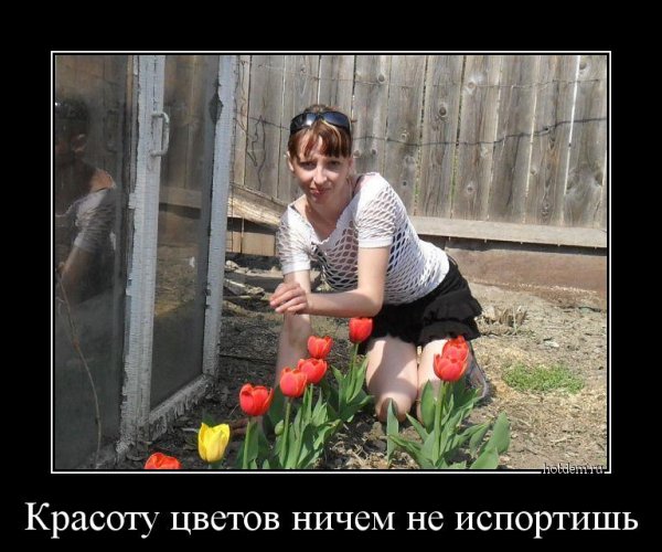Прикол про цветы девушкам