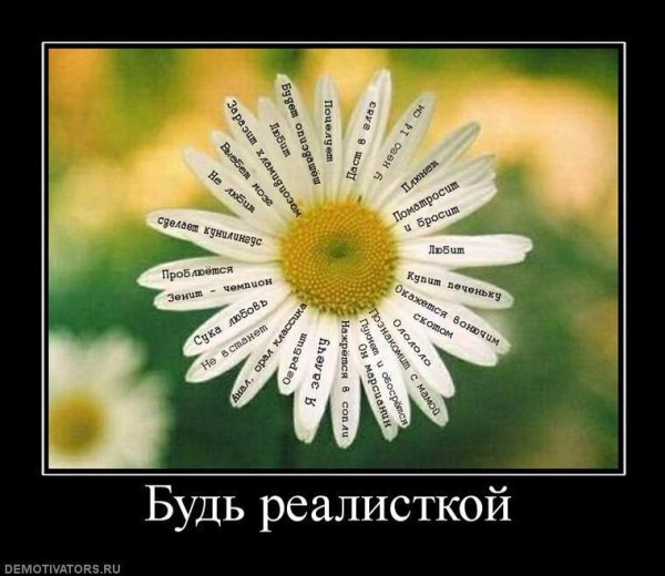 Демотиваторы цветы