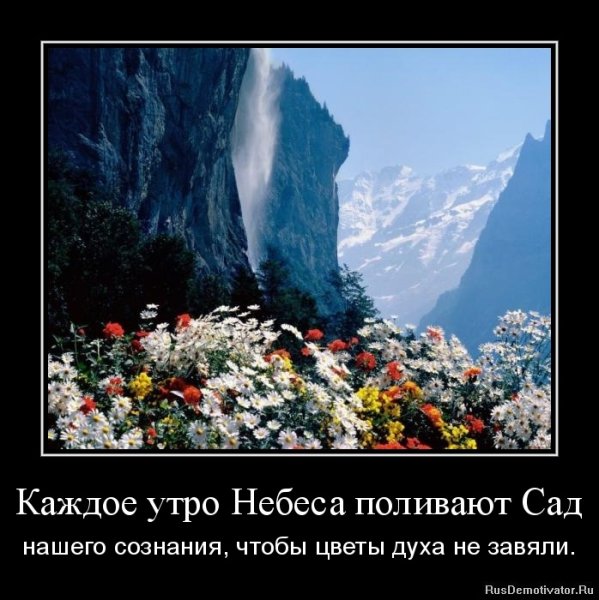 8 Марта ожидание реальность