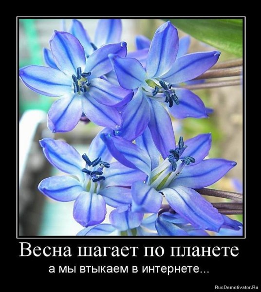 Шутик про российские дороги