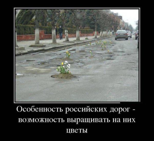 Девушка с цветами прикол