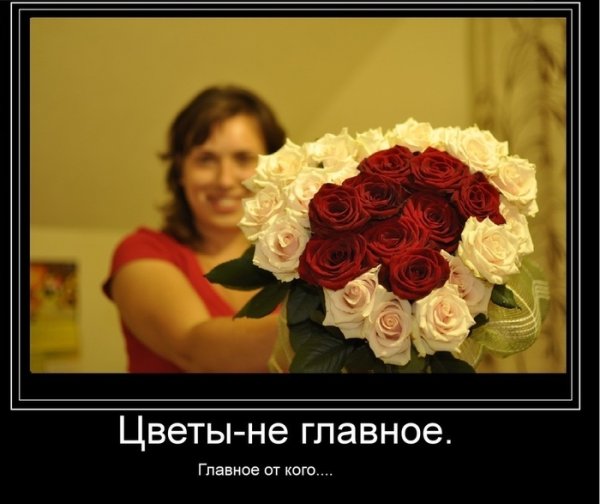 Любовь нужно поливать
