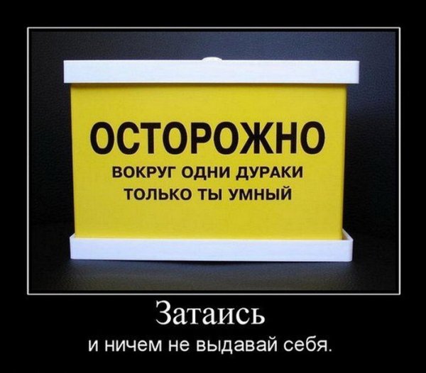 Анекдоты про дураков