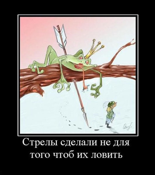 Демотиваторы про дураков