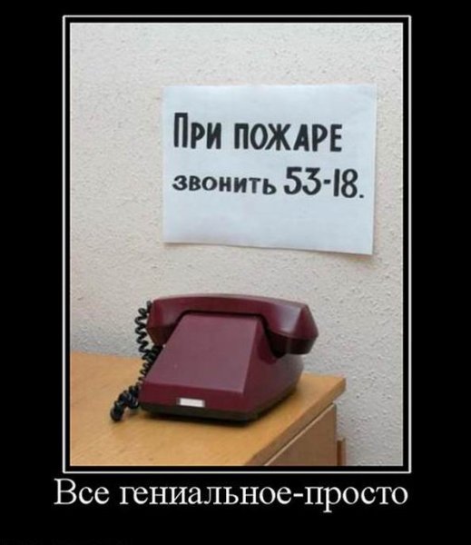 Демотиваторы про дураков