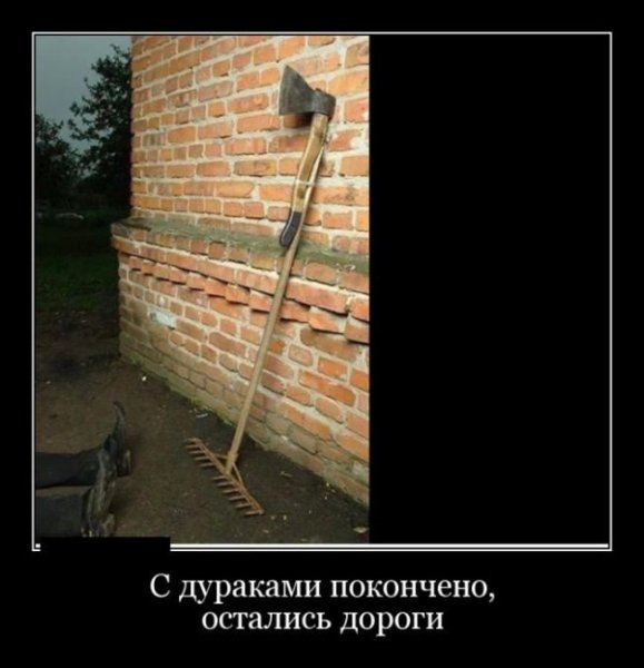 Демотиваторы про дураков