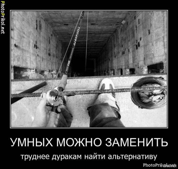 Демотиваторы про дураков