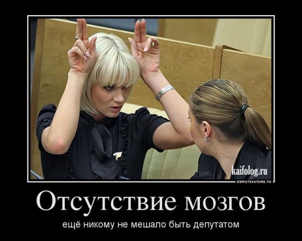 Депутаты демотиваторы