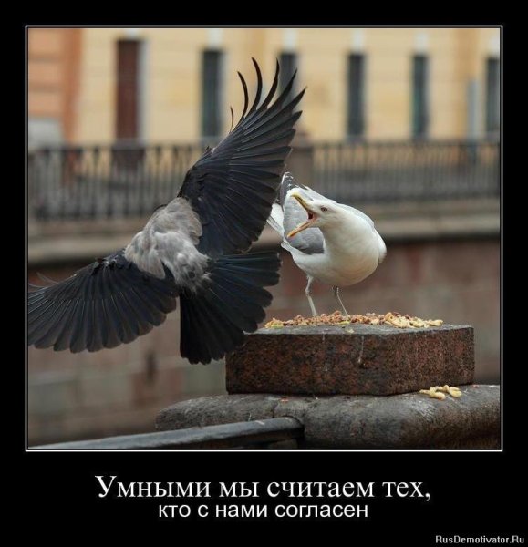 Умными мы считаем тех кто с нами согласен