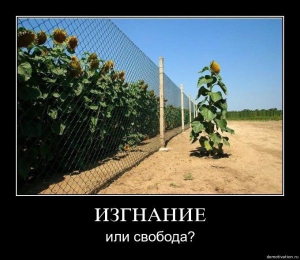 Приколы со смыслом