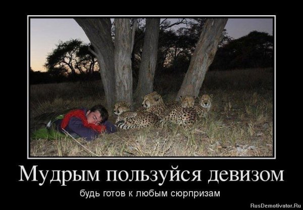 Сюрприз демотиватор