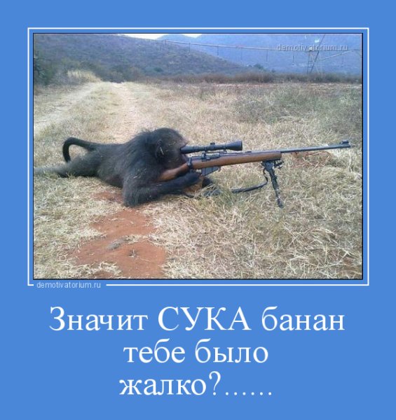 Демотиваторы про снайперов