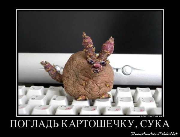 Демотиватор гламурные суки бесполезны