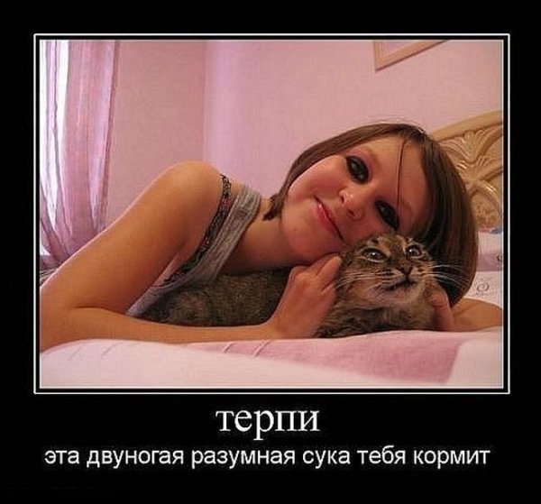 Терпи смешные картинки