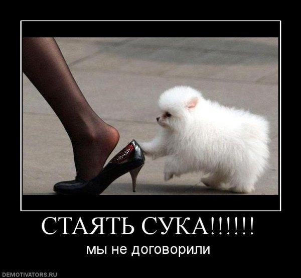 Я еще не договорила