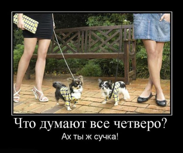 Четверо думают