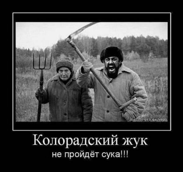 И только мертвые с косами