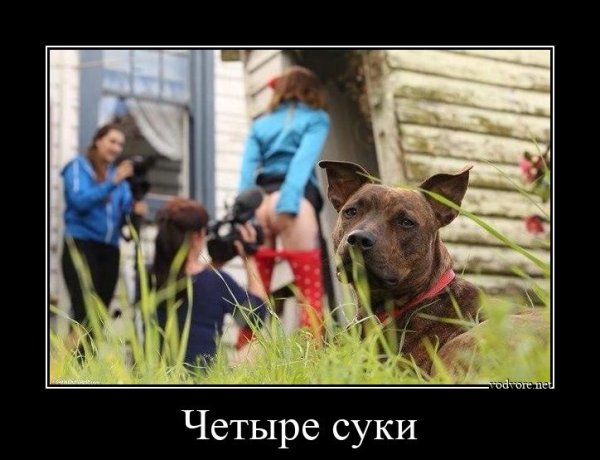 На что я трачу свою жизнь
