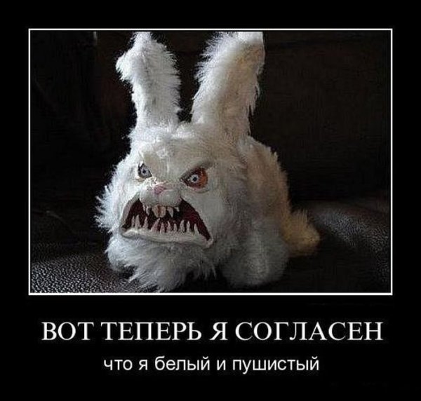 Я белый и пушистый