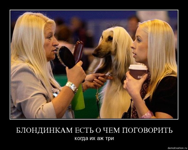 Приколы про блондинок