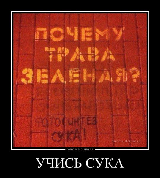 Демотиваторы про конченных сук