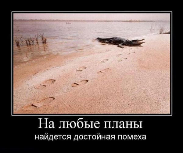Шутки про планирование