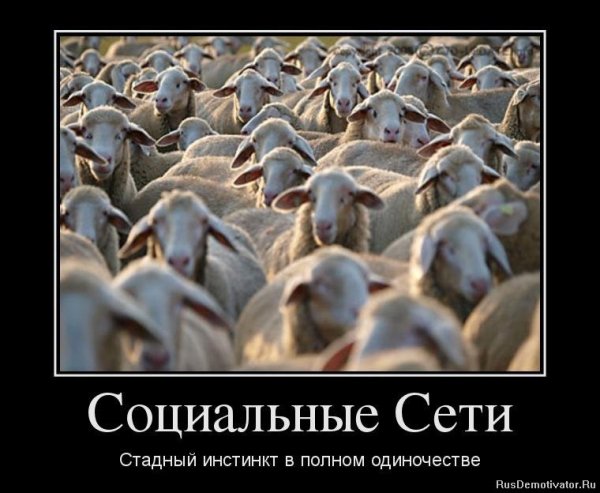 Приколы со смыслом