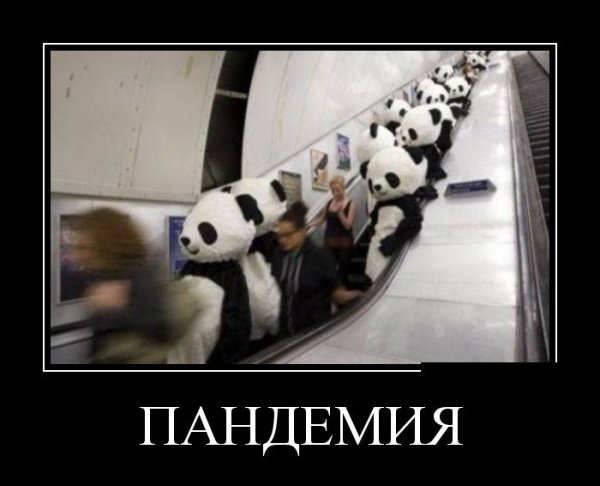 Приколы про пандемию