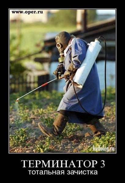 Мутанты сталкер демотиваторы