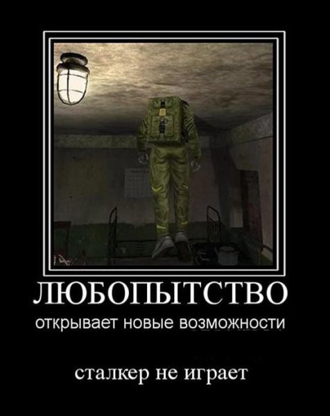 Приколы сталкер демотиваторы