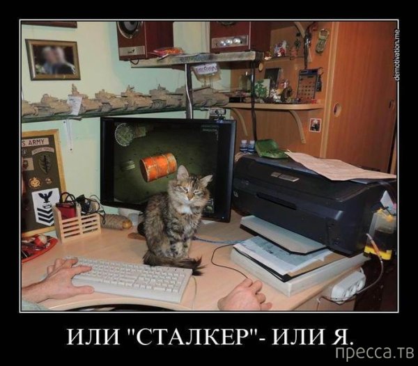 Демотиваторы сталкер со смыслом