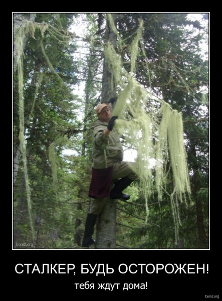 Демотиваторы по сталкеру