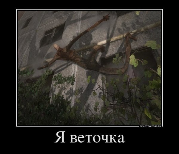 Приколы сталкер демотиваторы