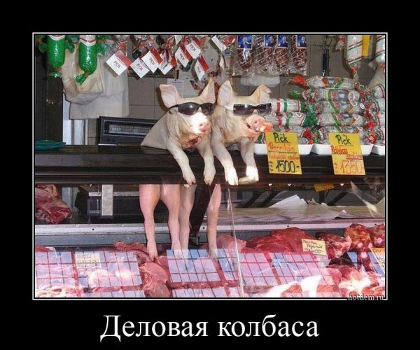 Демотиваторы про колбасу