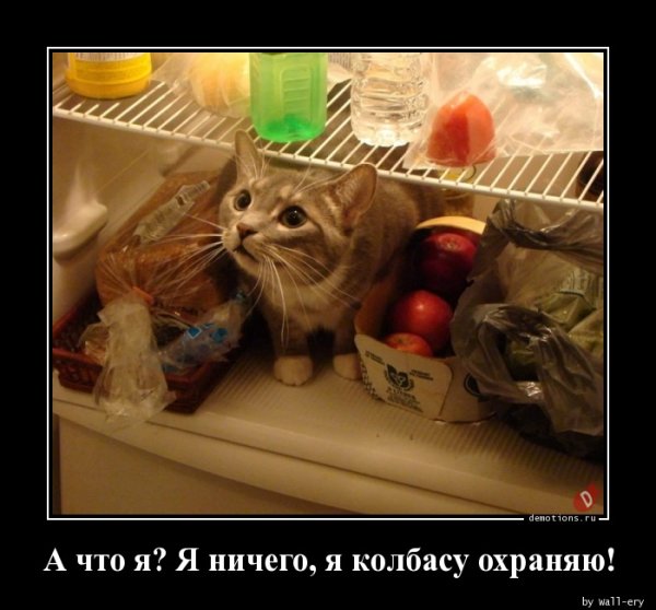 Демотиваторы про колбасу