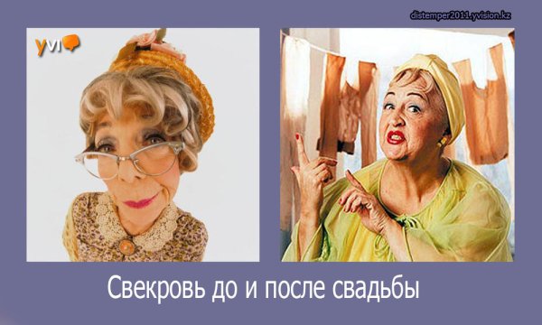 Анекдоты про свекровь