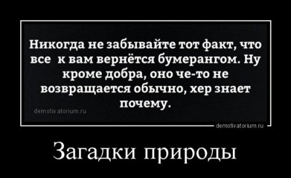 Бумеранг демотиватор