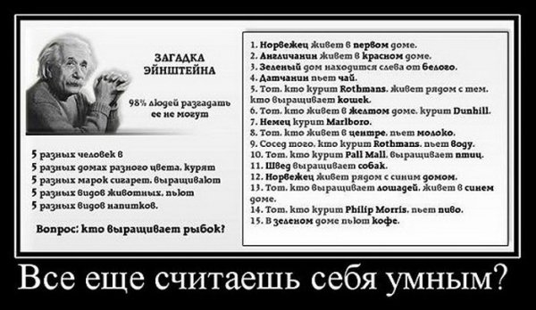 Загадка демотиватор