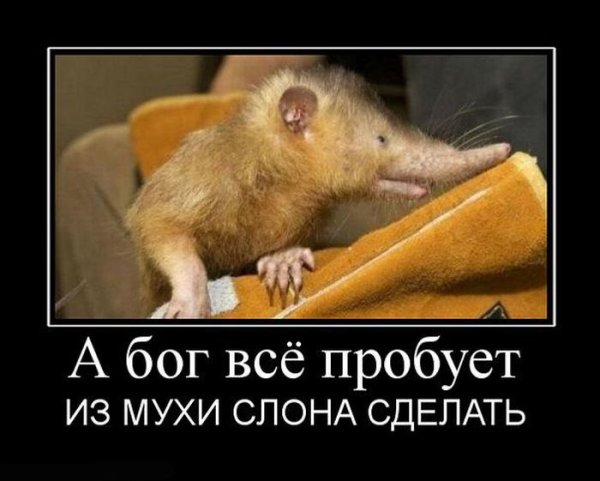 Загадка демотиватор