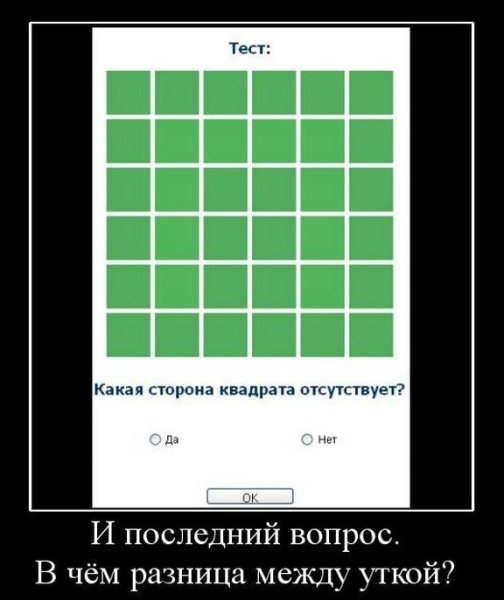 Демотиватор тесты