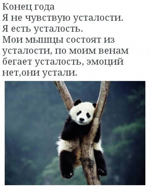 Фразы про усталость