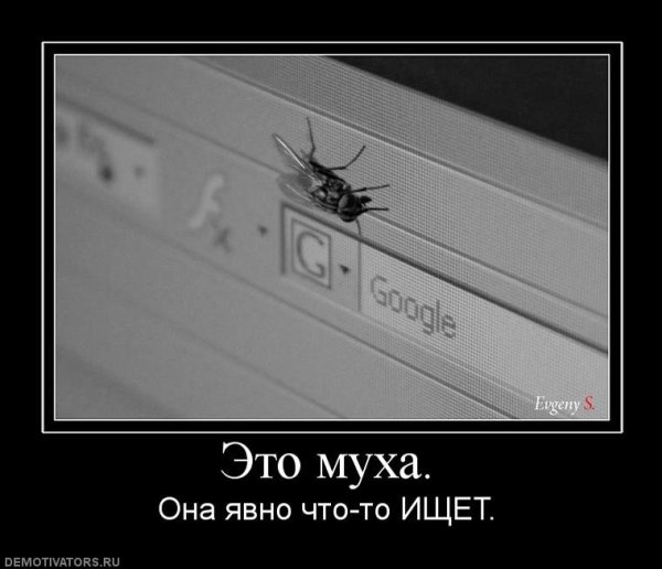 Анекдот про муху