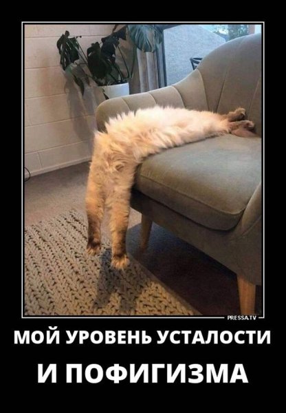 Устал демотиватор