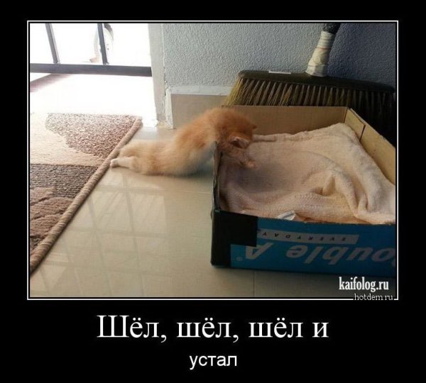 Устал демотиватор