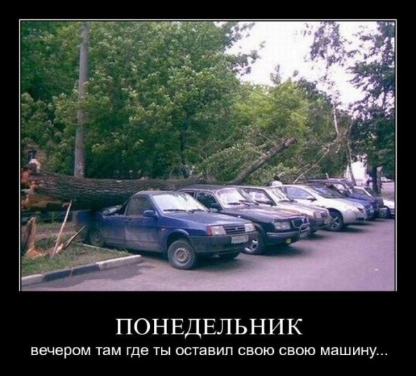 ОСАГО демотиваторы