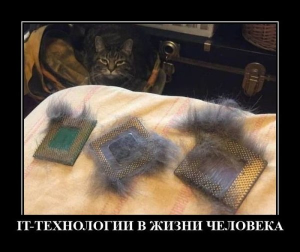 День печати демотиваторы