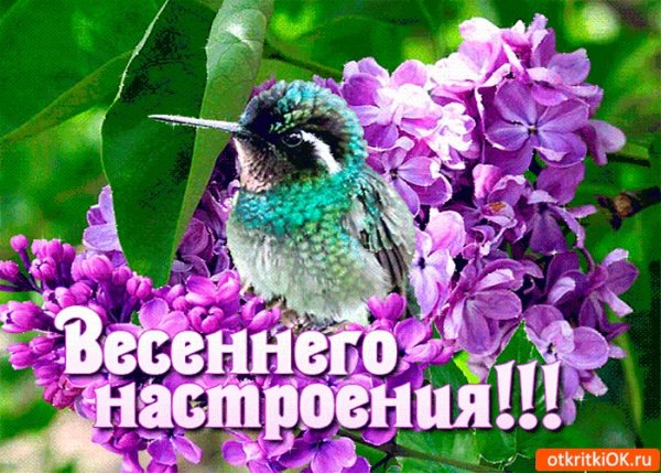 Открытки весеннего настроения
