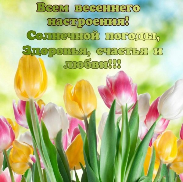Весеннее настроение цветы