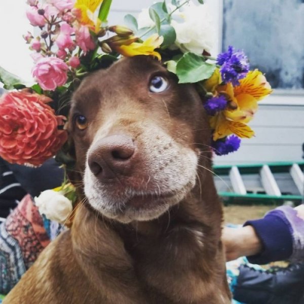 Хорошего настроения прикольные